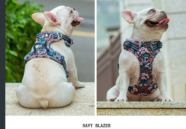 Mops im Brustgeschirr der Farbe Navy Blazer.