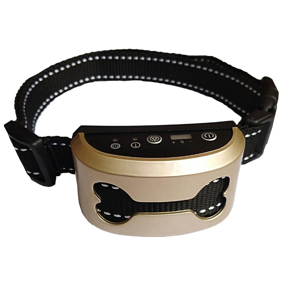 Antibellhalsband in der Farbe golden mit der Abbildung eines Hundeknochen auf der Front.