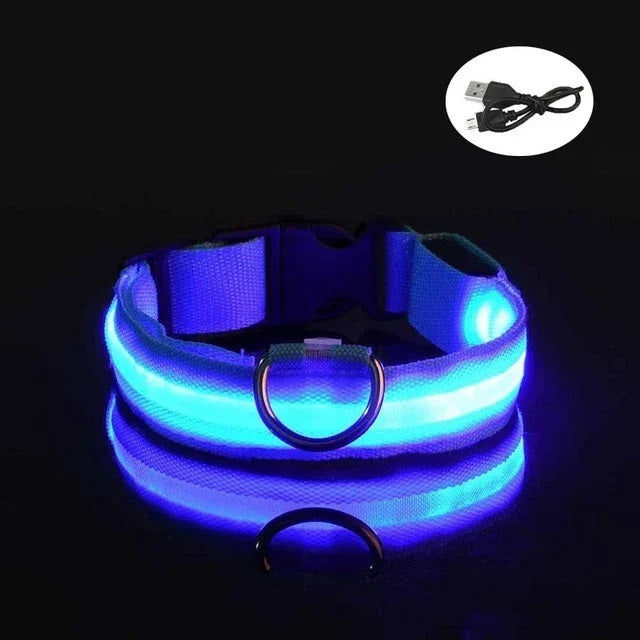 Blau leuchtendes LED Hundehalsband mit Öse und Ladekabel USB.