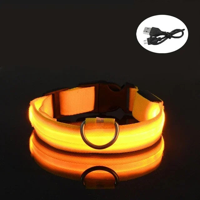 Gelb leuchtendes LED Hundehalsband mit Öse und Ladekabel USB.