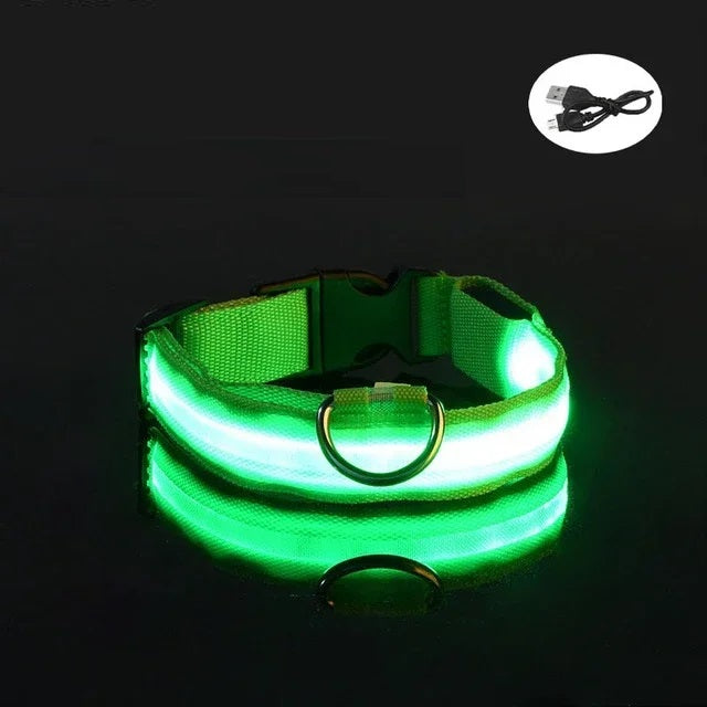 Grün leuchtendes LED Hundehalsband mit Öse und Ladekabel USB
