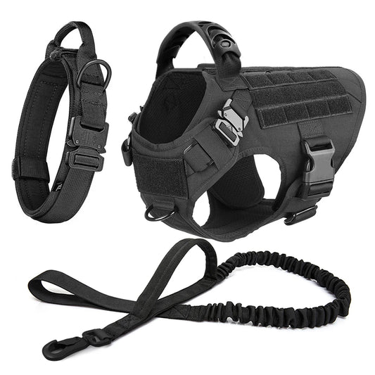Hundegeschirr in der Farbe schwarz mit Leine sowie das dazu passende Hundehalsband.