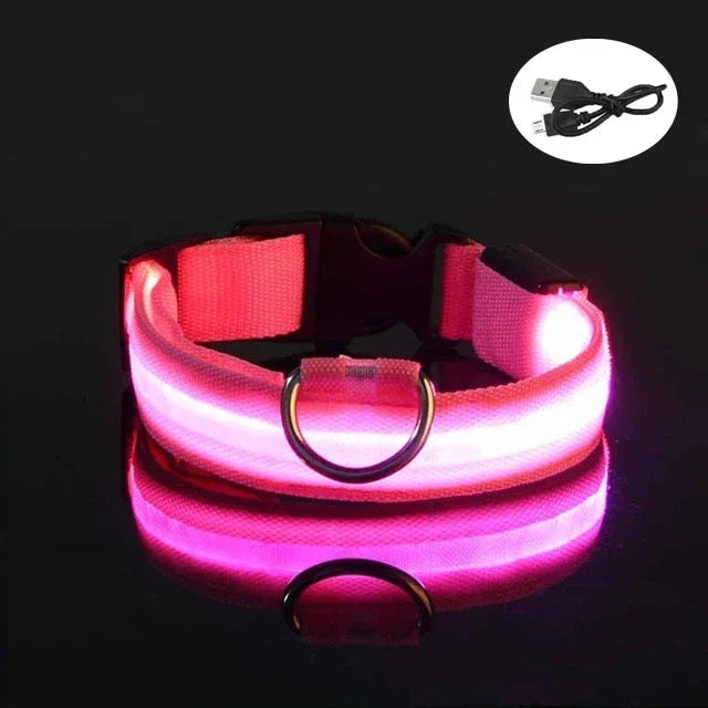 Pink leuchtendes LED Hundehalsband mit Öse und Ladekabel USB.