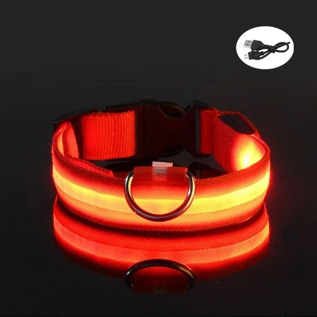 Rot leuchtendes LED Hundehalsband mit Öse und Ladekabel USB.
