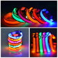 Fünf LED Hundehalsbänder nebeneinander in den Farben Rot, Grün, Pink, Gelb und Blau leuchtend