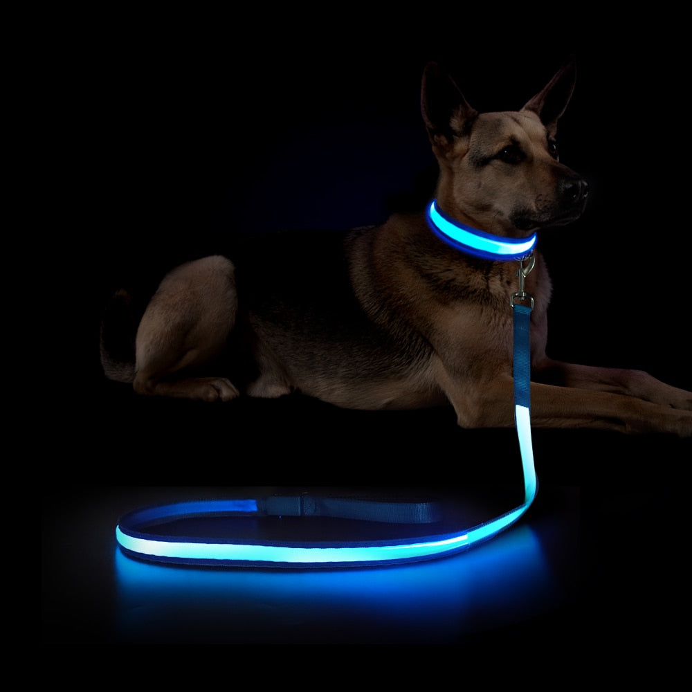 LED Hundeleine mit LED Halsband in der Farbe Blau.