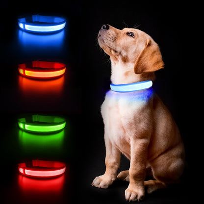 LED Leuchthalsband mit Hund in den Farben Blau, Orange, Grün und Rot.