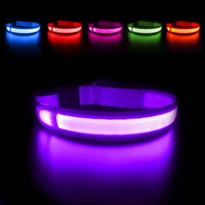 LED Hundehalsband in der Farbe Lila leuchtend.