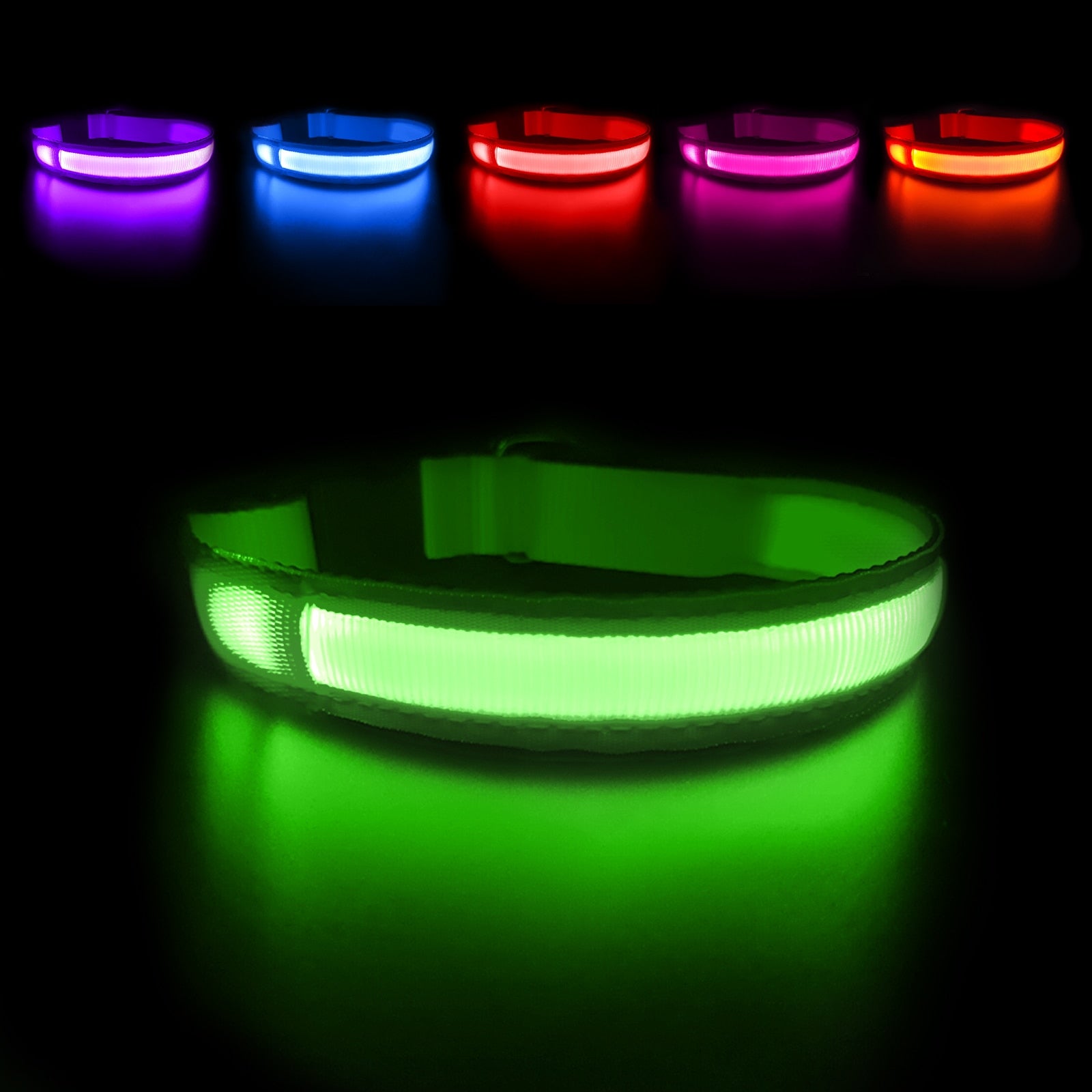 LED Hundehalsband in der Farbe Grün leuchtend.