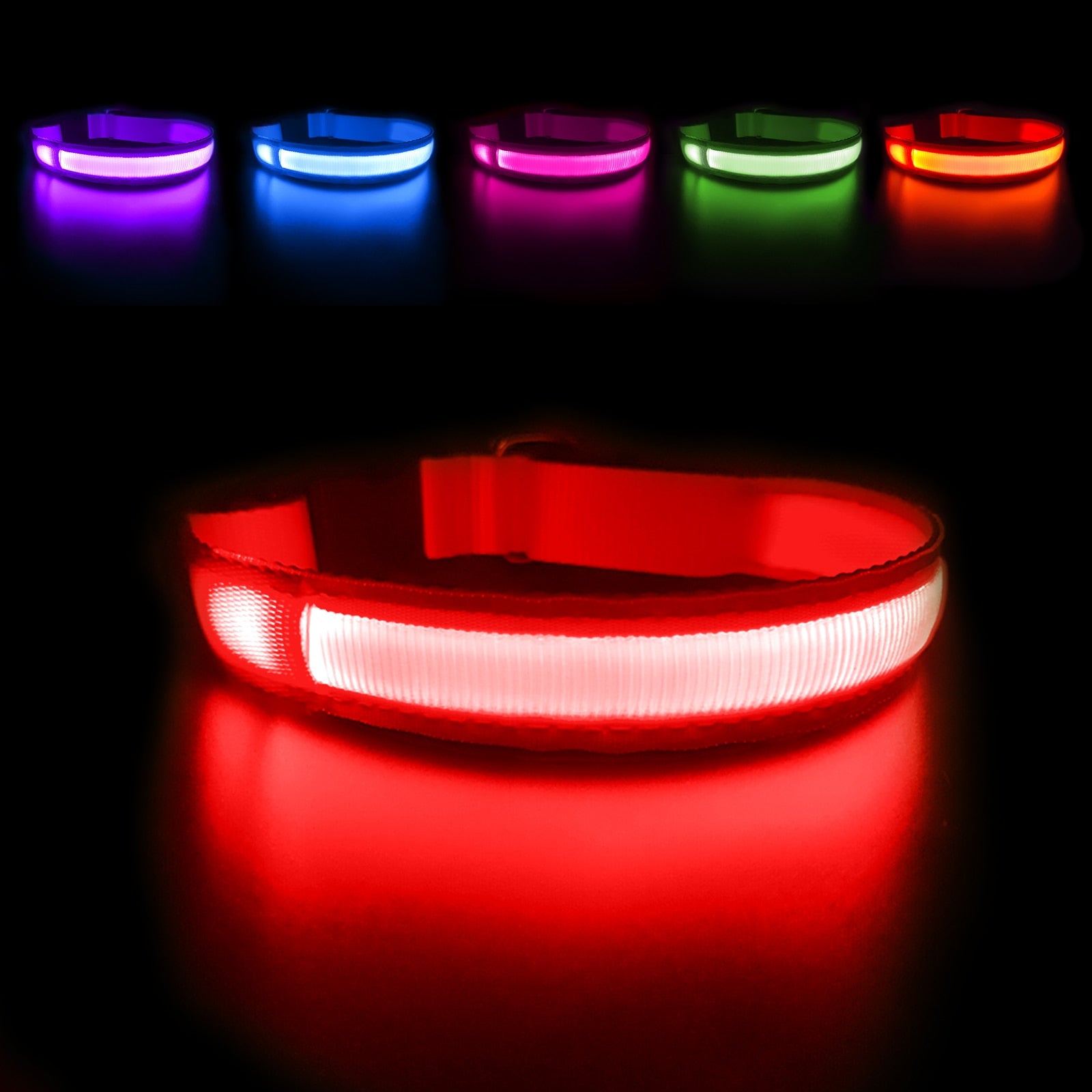 LED Hundehalsband in der Farbe Rot leuchtend.