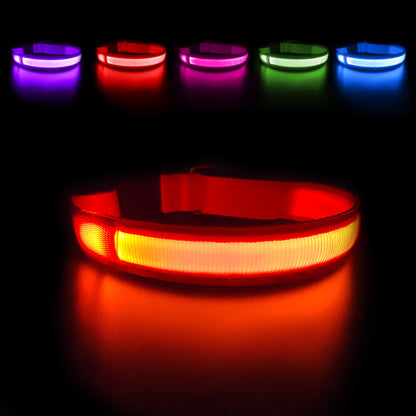 LED Hundehalsband in der Farbe Orange leuchtend.