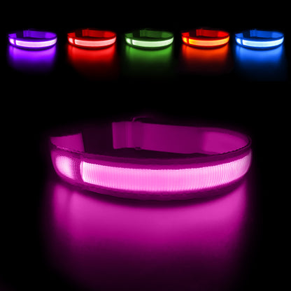 LED Hundehalsband in der Farbe Pink leuchtend.