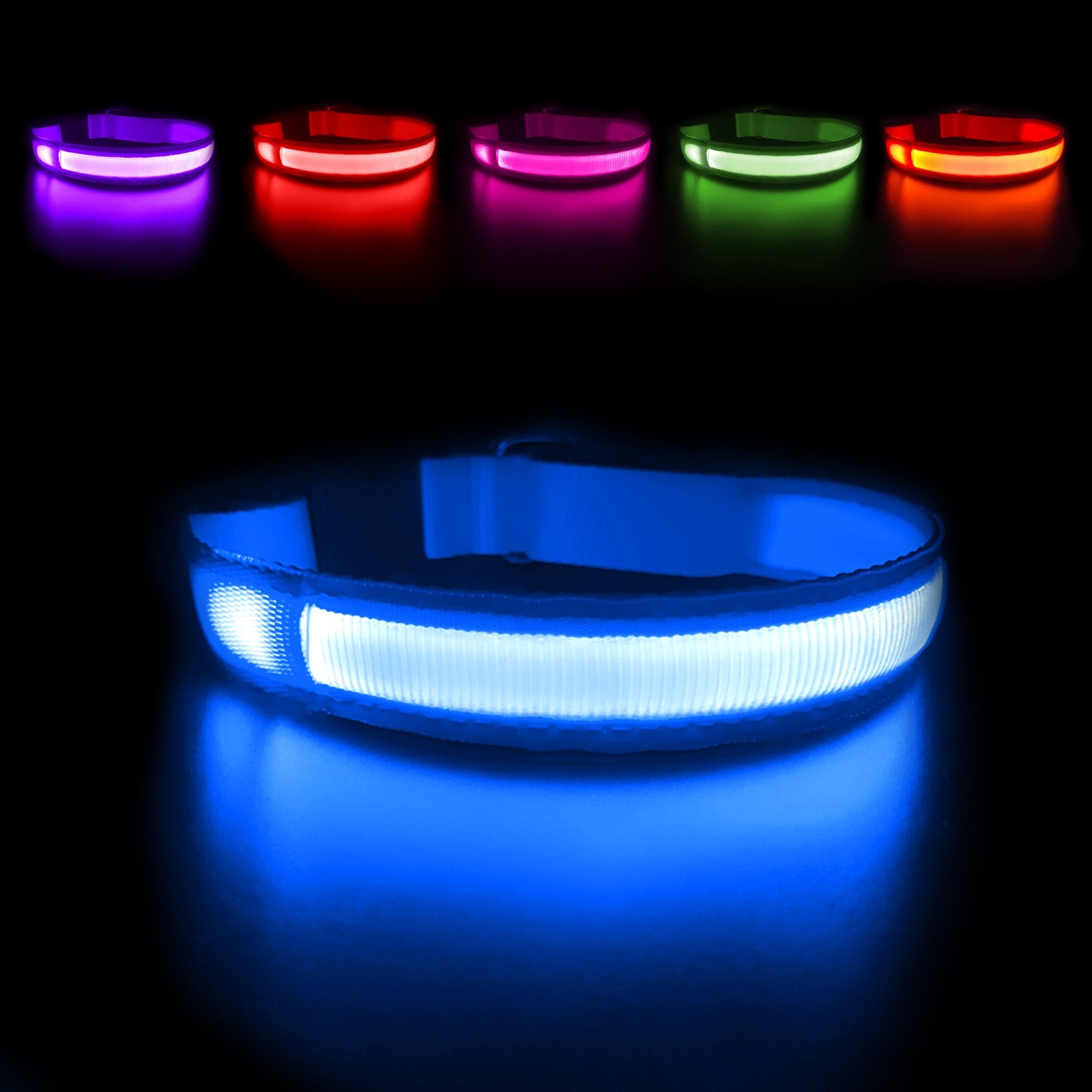 LED Hundehalsband in der Farbe Blau leuchtend.