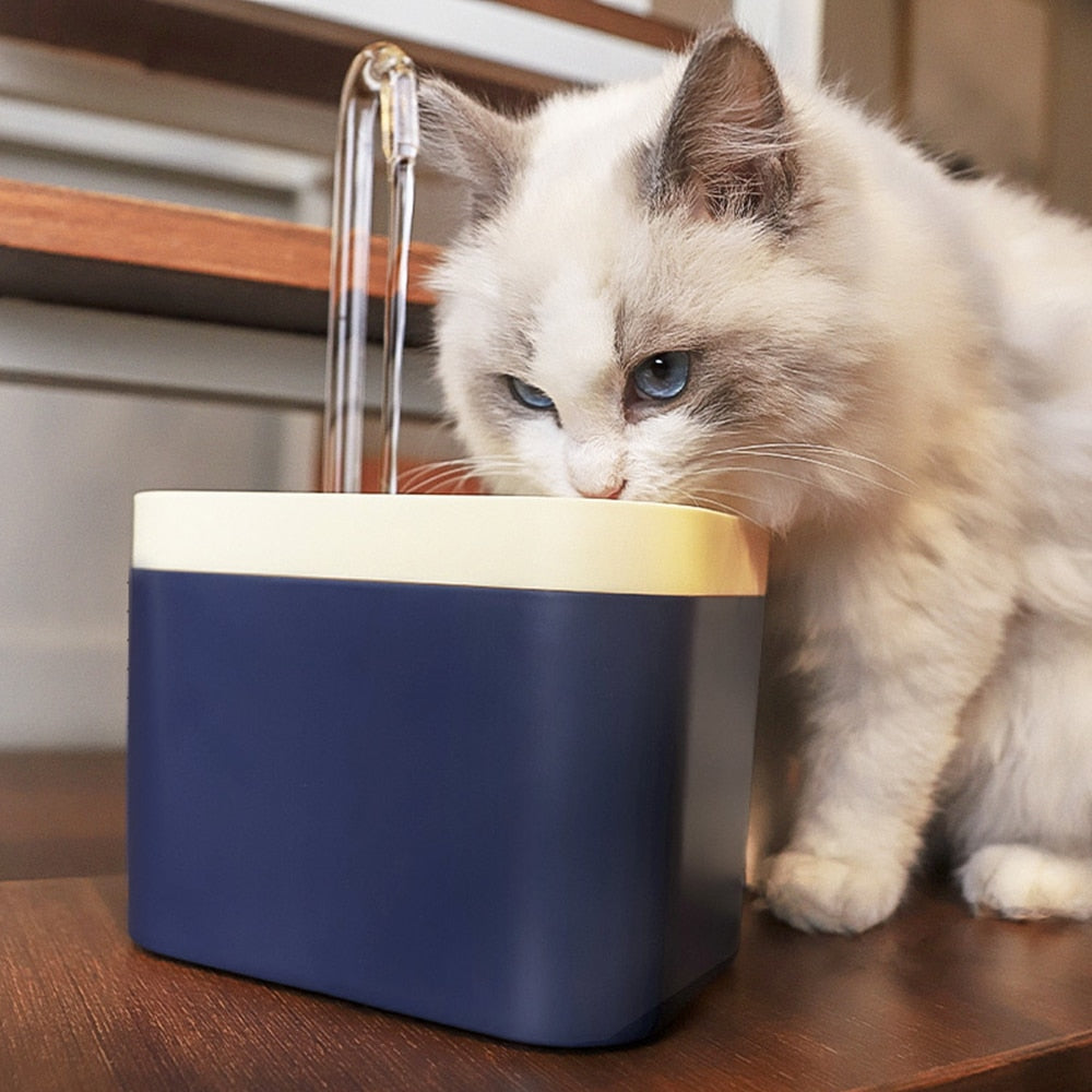 Katze trinkt aus den Trinkbrunnen in der Farbe dunkelblau sitzend.